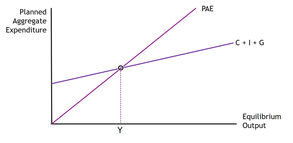 Planned
Aggregate
Expenditure
Y
PAE
C+I+G
Equilibrium
Output
