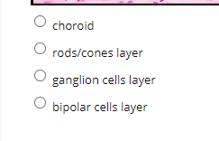choroid
rods/cones layer
ganglion cells layer
bipolar cells layer
