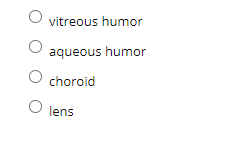 vitreous humor
aqueous humor
choroid
lens
