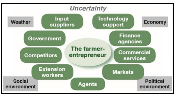 Uncertainty
Input
suppliers
Technology
support
Weather
Economy
Finance
Government
agencies
The farmer-
Commercial
Competitors
entrepreneur
services
Extension
Markets
workers
Social
environment
Political
Agents
environment
