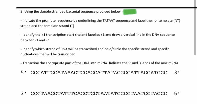 3. Using the double stranded bacterial sequence provided below:
- Indicate the promoter sequence by underlining the TATAAT sequence and label the nontemplate (NT)
strand and the template strand (T)
- Identify the +1 transcription start site and label as +1 and draw a vertical line in the DNA sequence
between -1 and +1.
- Identify which strand of DNA will be transcribed and bold/circle the specific strand and specific
nucleotides that will be transcribed.
- Transcribe the appropriate part of the DNA into MRNA. Indicate the 5' and 3' ends of the new MRNA.
5' GGCATTGCATAAAGTCGAGCATTATACGGCATTAGGATGGC
3'
3' СCGTAACGTATTTCAGCTCGTAATАTGCCGTAATССТАССG
5'
