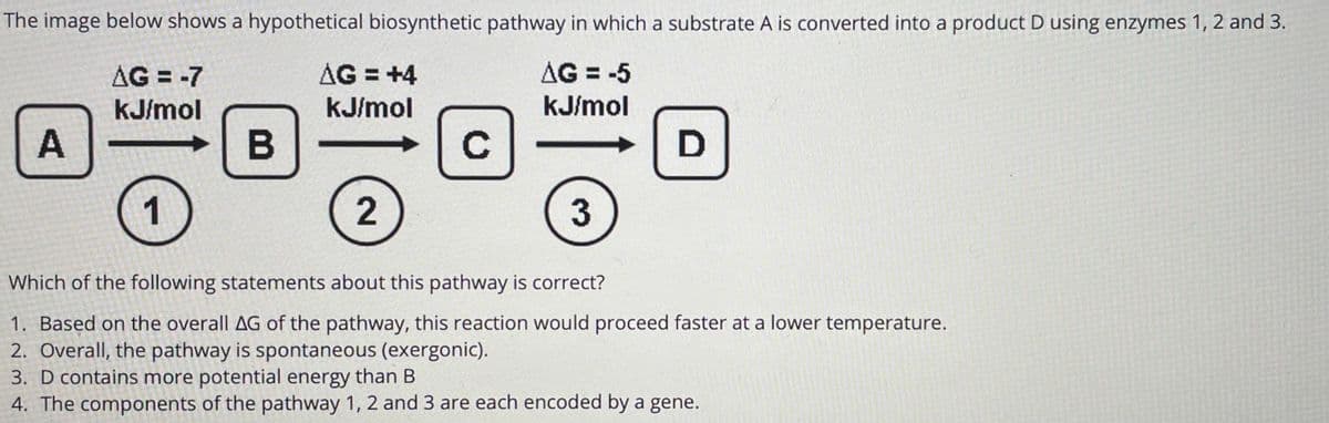 The image below shows a hypothetical biosynthetic pathway in which a substrate A is converted into a product D using enzymes 1, 2 and 3.
AG = -7
AG = -5
kJ/mol
AG = +4
kJ/mol
kJ/mol
C
1
Which of the following statements about this pathway is correct?
1. Based on the overall AG of the pathway, this reaction would proceed faster at a lower temperature.
2. Overall, the pathway is spontaneous (exergonic).
3. D contains more potential energy than B
4. The components of the pathway 1, 2 and 3 are each encoded by a gene.

