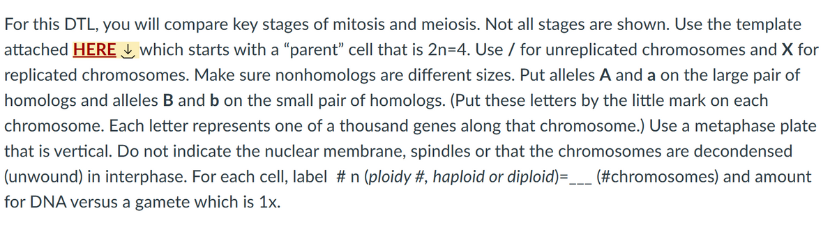For this DTL, you will compare key stages of mitosis and meiosis. Not all stages are shown. Use the template
attached HERE which starts with a "parent" cell that is 2n=4. Use / for unreplicated chromosomes and X for
replicated chromosomes. Make sure nonhomologs are different sizes. Put alleles A and a on the large pair of
homologs and alleles B and b on the small pair of homologs. (Put these letters by the little mark on each
chromosome. Each letter represents one of a thousand genes along that chromosome.) Use a metaphase plate
that is vertical. Do not indicate the nuclear membrane, spindles or that the chromosomes are decondensed
(unwound) in interphase. For each cell, label # n (ploidy #, haploid or diploid)=______ (#chromosomes) and amount
for DNA versus a gamete which is 1x.