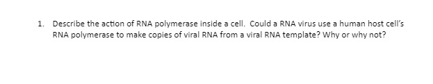 1. Describe the action of RNA polymerase inside a cell. Could a RNA virus use a human host cell's
RNA polymerase to make copies of viral RNA from a viral RNA template? Why or why not?