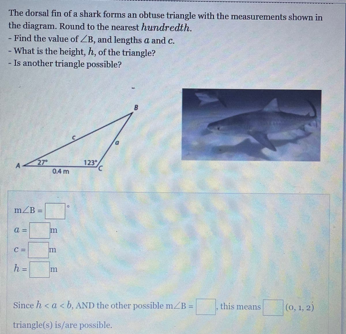 The dorsal fin of a shark forms an obtuse triangle with the measurements shown in
the diagram. Round to the nearest hundredth.
- Find the value of ZB, and lengths a and c.
- What is the height, h, of the triangle?
Is another triangle possible?
27
0.4 m
123°,
m/B =
%3D
C =
m
h%3=
m
Since h < a < b, AND the other possible m/B =
this means
(0, 1, 2)
triangle(s) is/are possible.
