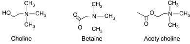 CH3
CH,
CH,
HO
N-CH3
N-CH
-CH3
ČH3
CH,
Choline
Betaine
Acetylcholine

