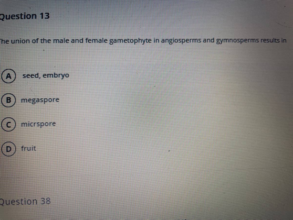 Question 13
he union of the male and female gametophyte in angiosperms and gymnosperms results in
seed, embryo
megaspore
C) micrspore
fruit
Question 38