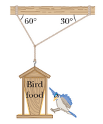 60°
30°
Bird
food
