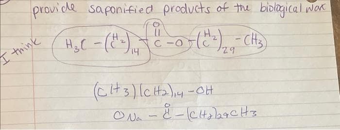 provide saponified products of the biological wax
0
11
H.
(H₂C - (E-) 1 - ² - 0 - (C²) 215- (H₂).
CH3)
C
14
29
I think
(CH3) (CH₂), 4-OH
ON -
No
· 8 - (CH₂laCH3