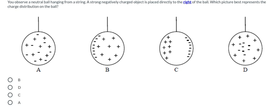 You observe a neutral ball hanging from a string. A strong negatively charged object is placed directly to the right of the ball. Which picture best represents the
charge distribution on the ball?
+
+
+
+
+
+
+
+
+
B
B
D
A
+++
+ +
O 0 0 O
