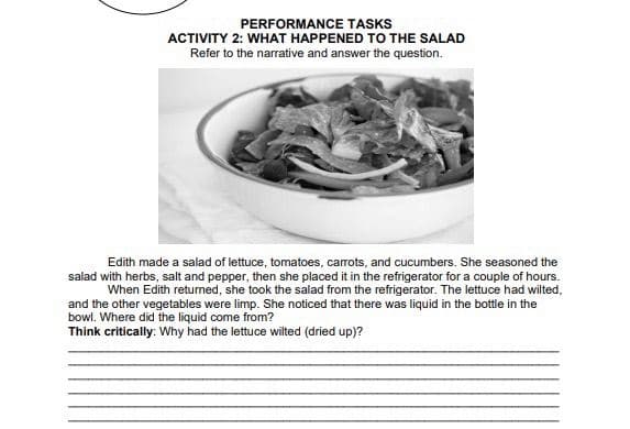 PERFORMANCE TASKS
ACTIVITY 2: WHAT HAPPENED TO THE SALAD
Refer to the narrative and answer the question.
Edith made a salad of lettuce, tomatoes, carrots, and cucumbers. She seasoned the
salad with herbs, salt and pepper, then she placed it in the refrigerator for a couple of hours.
When Edith returned, she took the salad from the refrigerator. The lettuce had wilted,
and the other vegetables were limp. She noticed that there was liquid in the bottle in the
bowl. Where did the liquid come from?
Think critically: Why had the lettuce wilted (dried up)?
