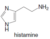 N.
NH2
N'
histamine
