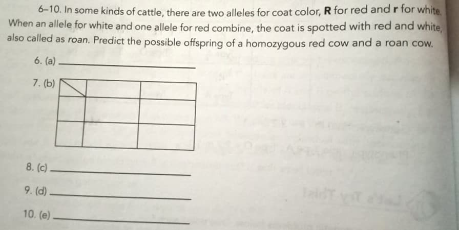 O-10. In some kinds of cattle, there are two alleles for coat color, R for red and r for white
When an allele for white and one allele for red combine, the coat is spotted with red and white,
also called as roan. Predict the possible offspring of a homozygous red cow and a roan cow.
6. (a)
7. (b)
8. (c)
9. (d)
10. (e)
