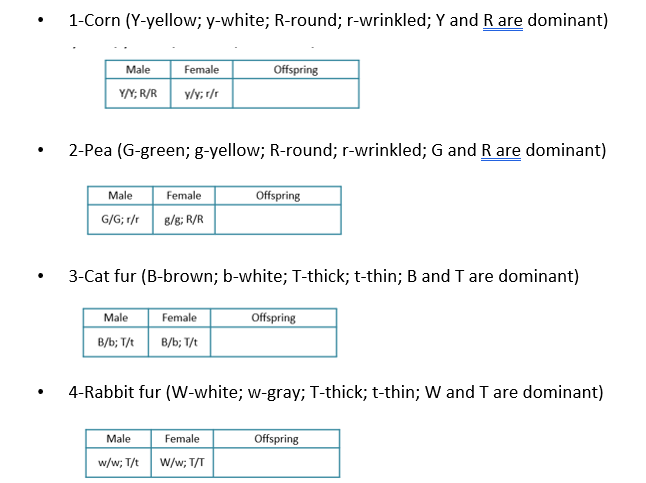 1-Corn (Y-yellow; y-white; R-round; r-wrinkled; Y and R are dominant)
Male
Female
Offspring
Y/N; R/R
y/y; r/r
2-Pea (G-green; g-yellow; R-round; r-wrinkled; G and R are dominant)
Male
Female
Offspring
G/G; r/r
8/8; R/R
3-Cat fur (B-brown; b-white; T-thick; t-thin; B and T are dominant)
Male
Female
Offspring
B/b; T/t
B/b; T/t
4-Rabbit fur (W-white; w-gray; T-thick; t-thin; W and T are dominant)
Male
Female
Offspring
w/w; T/t
W/w; T/T
