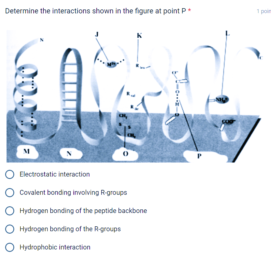 Determine the interactions shown in the figure at point P *
M
Read
CH₂
CH₂
0
K
O Electrostatic interaction
O Covalent bonding involving R-groups
Hydrogen bonding of the peptide backbone
Hydrogen bonding of the R-groups
Hydrophobic interaction
P
NH
1 poin