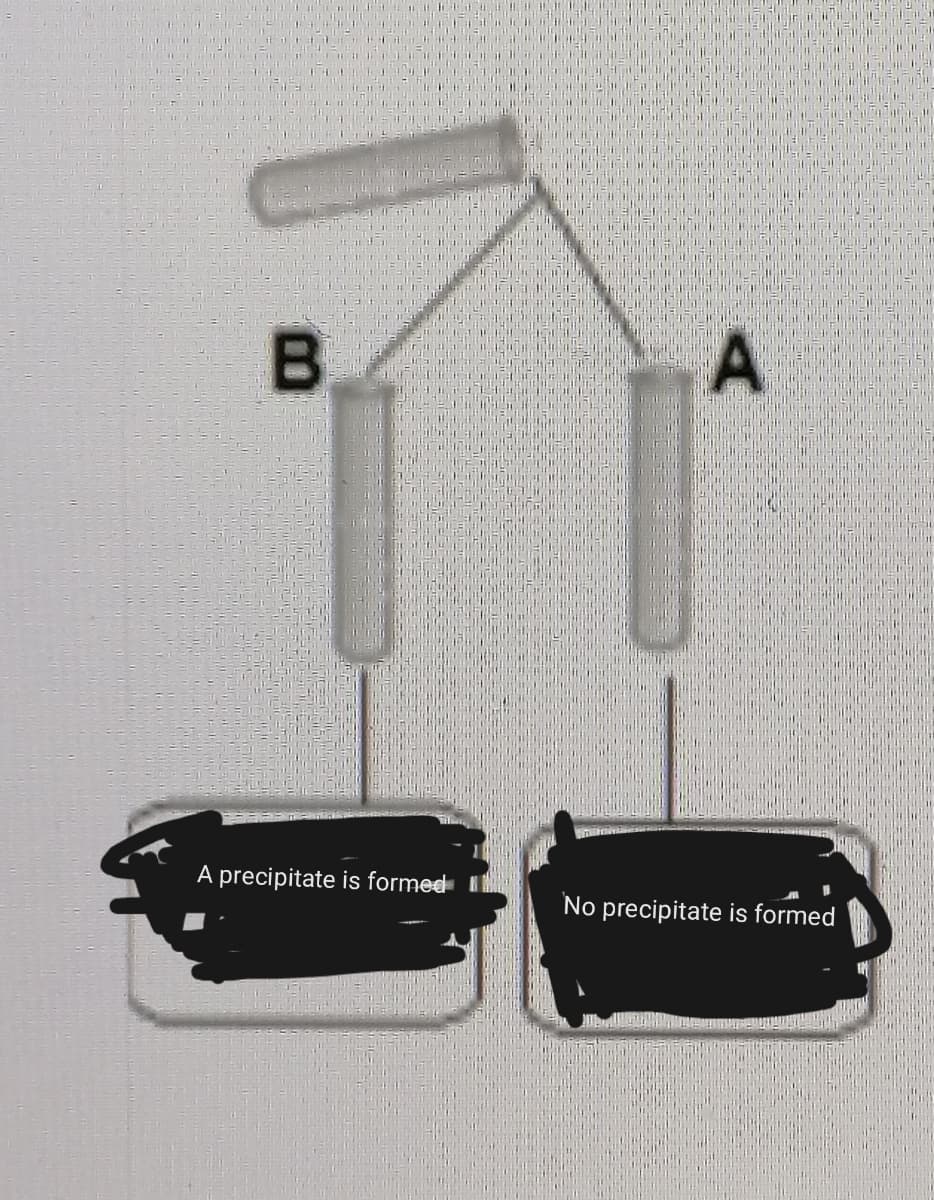 A precipitate is formed
No precipitate is formed
A.
B.
