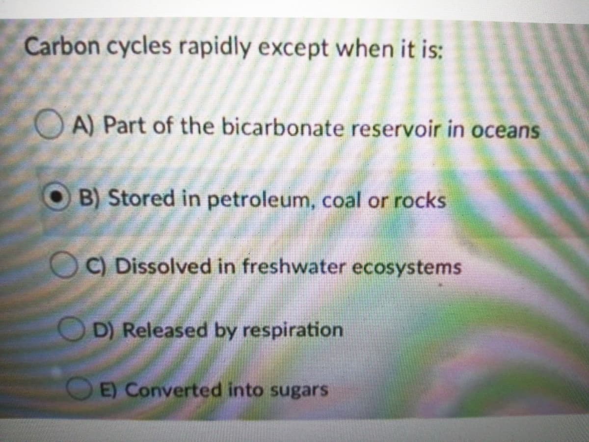Carbon cycles rapidly except when it is:
A) Part of the bicarbonate reservoir in oceans
B) Stored in petroleum, coal or rocks
C) Dissolved in freshwater ecosystems
D) Released by respiration
E) Converted into sugars
