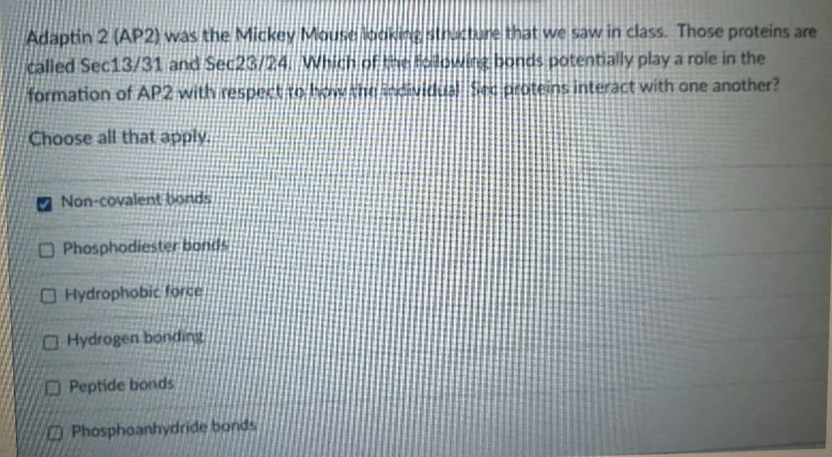 Adaptin 2 (AP2) was the Mickey Mouse kacikine strahune that we saw in class. Those proteins are
called Sec13/31 and Sec26/24 Which of lowing bonds potentially play a role in the
formation of AP2 with respect to haw thundivide
tiea proteins interact with one another?
Choose all that apply.
Non-covalent bonds
O Phosphodiester bonds
OHydrophobic force
O Hydrogen bonding
OPeptide bonds
O Phosphoanhydride bonds
