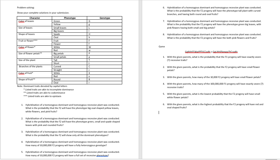 Problem salving
Hybridization of a homozygous dominant and homozygous recessive plant was conducted
What is the probability that the F2 progeny will have the phenotype tall plant with curved
Show your complete solutions in your submission.
branches, and having both round and oval fruits?
Character
Phenotype
Genotype
Colo, of leaves
Hybridization of a homozygous dominant and homozygous recessive plant was conducted.
Green
G
Yellow
What is the probability that the F2 progeny will have the phenotype green big leaves, with
Size of leaves
Small leaves
pink flowers having both small and big petals?
Big leaves
Spade
Shape of leaves
H
8. Hybridization af a homozygous dominant and homozygous recessive plant was conducted.
Oval
What is the probability that the F2 progeny will have the bath pink flowers and fruits?
Fruit or flower***
Fruit
F
Flower
Color, of flower"
White
Game
Red
Size of flower petals**
Big petals
Small petals
Tall
P
1. With the given parents, what is the probability that the F1 progeny will have exactly seven
Size of the plant
(7) recessive traits?
Short
Branches of the plants
Curved
2. With the given parents, what is the probability that the F2 progeny will have small flower
petals?
Straight
Colog of fruit
White
Red
3. With the given parents, how many of the 10,000 F2 progeny will have small flawer petals?
Shape of fruit
Round
Oval
4. With the given parents, how many of the 100,000,000 F1 progeny will have exactly seven (7)
Nate: Dominant traits denoted by capital letters
* Listed traits are akin to incomplete dominance
** Listed traits are akin to cadominance
recessive traits?
5. With the given parents, what is the lowest prabability that the F2 progeny will have small
*** Listed traits are akin to epistasis
white flower petals?
1. Hybridization of a homozygous daminant and homozygous recessive plant was conducted
What is the probability that the F2 will have the phenatype big oval shaped yellow leaves,
white flowers, and pink fruits?
6. With the given parents, what is the highest probability that the F2 progeny will have red and
aval shaped fruits?
2. Hybridization of a homazygous daminant and homozygous recessive plant was conducted
What is the probability that the F2 will have the phenatype green, small and spade shaped
leaves with pink and rounded fruits?
3. Hybridization of a homozygous daminant and homozygous recessive plant was conducted.
What is the probability that the F2 will show only all the daminant phenotypes?
4. Hybridization of a homazygous daminant and homozygous recessive plant was conducted.
How many of 10,000,000 F2 progeny will have a fully heterozygous genatype?
5. Hybridization of a homozygous daminant and homozygous recessive plant was conducted.
How many of 10.000.000 F2 progeny will have a full set of recessive pbenoture?
