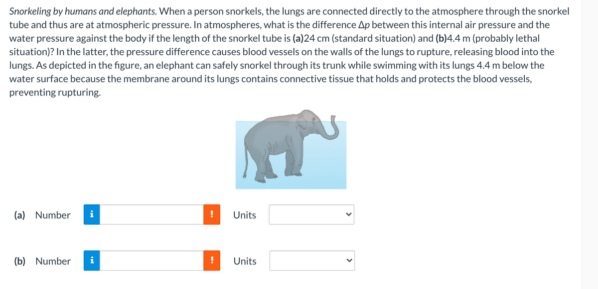 Snorkeling by humans and elephants. When a person snorkels, the lungs are connected directly to the atmosphere through the snorkel
tube and thus are at atmospheric pressure. In atmospheres, what is the difference Ap between this internal air pressure and the
water pressure against the body if the length of the snorkel tube is (a)24 cm (standard situation) and (b)4.4 m (probably lethal
situation)? In the latter, the pressure difference causes blood vessels on the walls of the lungs to rupture, releasing blood into the
lungs. As depicted in the figure, an elephant can safely snorkel through its trunk while swimming with its lungs 4.4 m below the
water surface because the membrane around its lungs contains connective tissue that holds and protects the blood vessels,
preventing rupturing.
(a) Number
i
Units
(b) Number
i
Units
>
