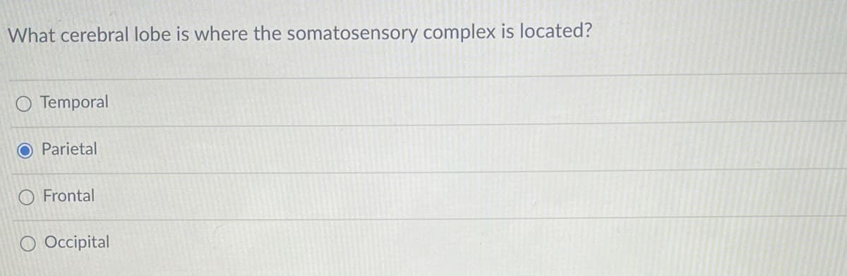 What cerebral lobe is where the somatosensory complex is located?
O Temporal
O Parietal
O Frontal
O Occipital
