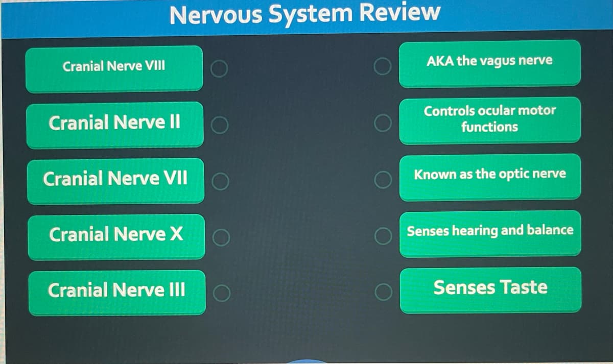 Nervous System Review
Cranial Nerve VIII
AKA the vagus nerve
Cranial Nerve II
Controls ocular motor
functions
Cranial Nerve VIIO
Known as the optic nerve
Cranial Nerve X
Senses hearing and balance
Cranial Nerve III
0O
Senses Taste
