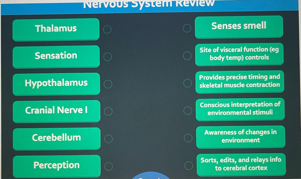 Nervous System Revew
Thalamus
Senses smellI
Site of visceral function (eg
body temp) controls
Sensation
Hypothalamus
Provides precise timing and
skeletal muscle contraction
Cranial Nerve I
Conscious interpretation of
environmental stimuli
Cerebellum
Awareness of changes in
environment
Perception
Sorts, edits, and relays info
to cerebral cortex
