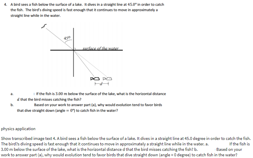 4. A bird sees a fish below the surface of a lake. It dives in a straight line at 45.0° in order to catch
the fish. The bird's diving speed is fast enough that it continues to move in approximately a
straight line while in the water.
450
surface of the water
PO PO
I If the fish is 3.00 m below the surface of the lake, what is the horizontal distance
a.
d that the bird misses catching the fish?
b.
Based on your work to answer part (a), why would evolution tend to favor birds
that dive straight down (angle = 0°) to catch fish in the water?
physics application
Show transcribed image text 4. A bird sees a fish below the surface of a lake. It dives in a straight line at 45.0 degree in order to catch the fish.
The bird?s diving speed is fast enough that it continues to move in approximately a straight line while in the water. a.
3.00 m below the surface of the lake, what is the horizontal distance d that the bird misses catching the fish? b.
work to answer part (a), why would evolution tend to favor birds that dive straight down (angle = 0 degree) to catch fish in the water?
If the fish is
Based on your
