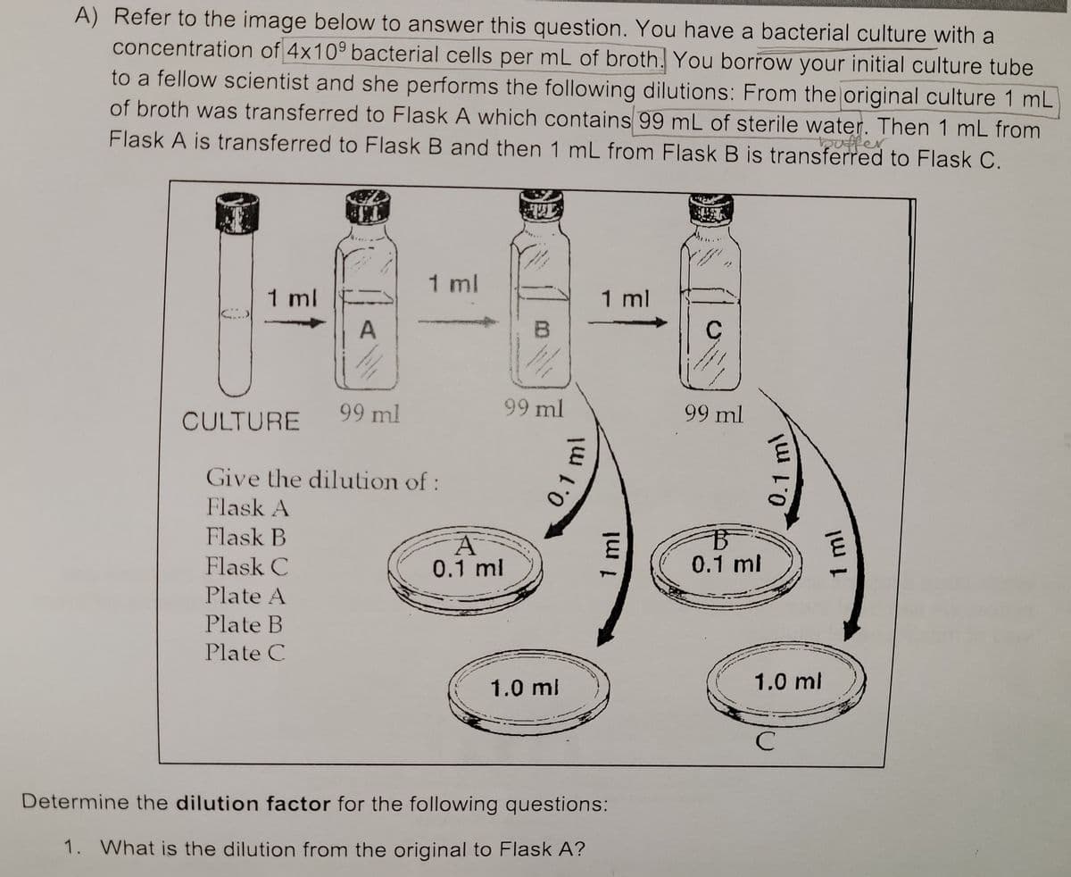 A) Refer to the image below to answer this question. You have a bacterial culture with a
concentration of 4x10° bacterial cells per mL of broth. You borrow your initial culture tube
to a fellow scientist and she performs the following dilutions: From the original culture 1 mL
of broth was transferred to Flask A which contains 99 mL of sterile water. Then 1 mL from
Flask A is transferred to Flask B and then 1 mL from Flask B is transferred to Flask C.
buffer
1 ml
1 ml
1 ml
A
C
99 ml
99 ml
99 ml
CULTURE
Give the dilution of:
Flask A
Flask B
Flask C
0.1 ml
0.1 ml
Plate A
Plate B
Plate C
1.0 ml
1.0 ml
Determine the dilution factor for the following questions:
1. What is the dilution from the original to Flask A?
0.1 ml
1 ml
0.1 ml
