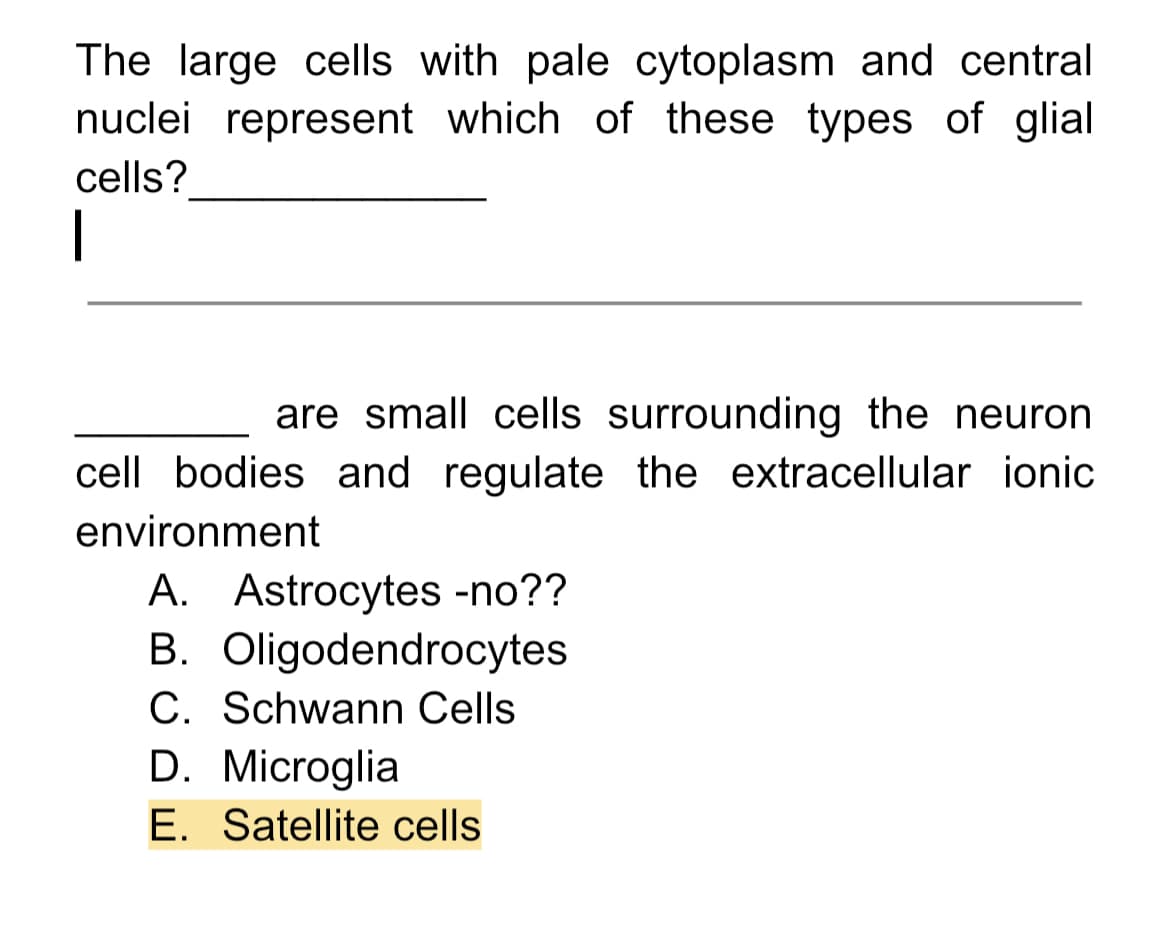 The large cells with pale cytoplasm and central
nuclei represent which of these types of glial
cells?
1
are small cells surrounding the neuron
cell bodies and regulate the extracellular ionic
environment
A. Astrocytes -no??
B. Oligodendrocytes
C. Schwann Cells
D. Microglia
E. Satellite cells