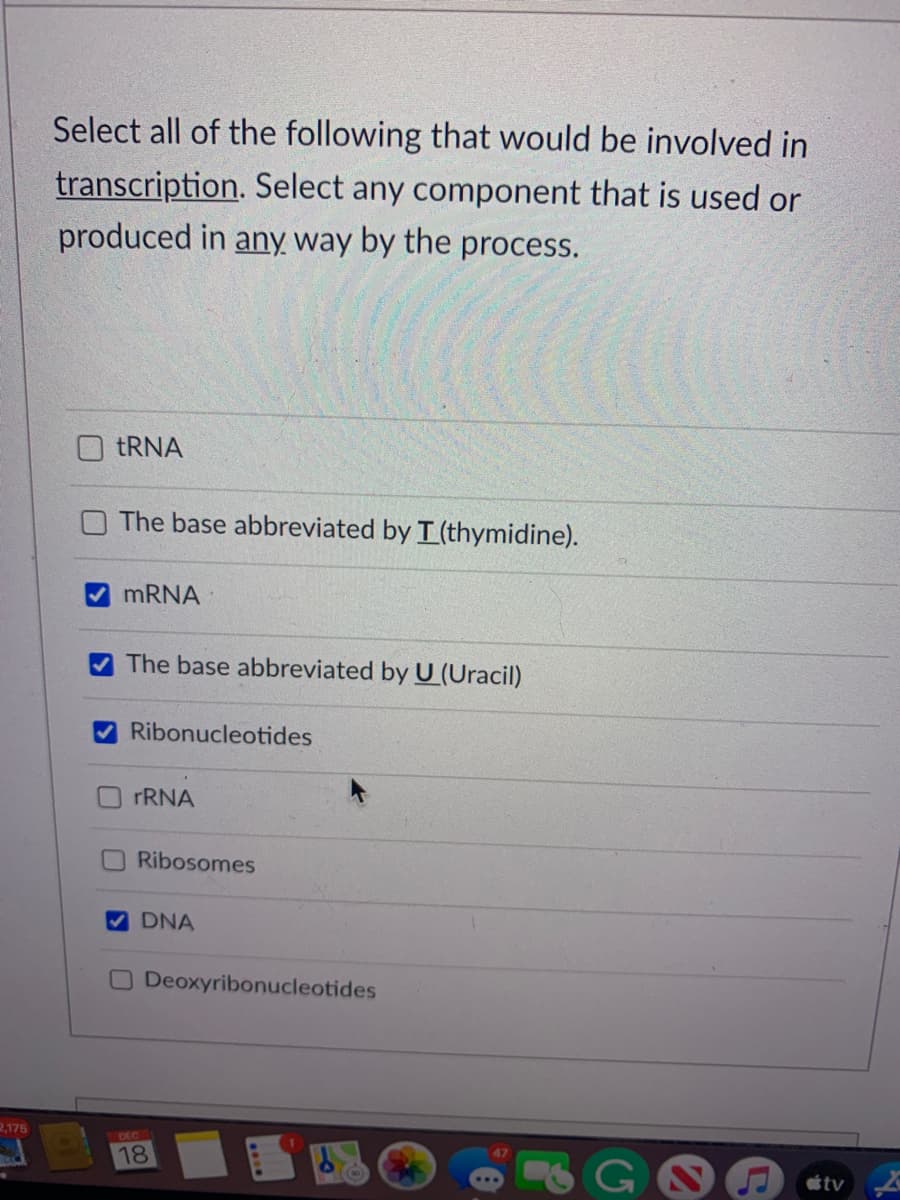 Select all of the following that would be involved in
transcription. Select any component that is used or
produced in any way by the process.
TRNA
The base abbreviated by T (thymidine).
MRNA
The base abbreviated by U (Uracil)
Ribonucleotides
rRNA
Ribosomes
DNA
Deoxyribonucleotides
2,175
DEC
18
tv

