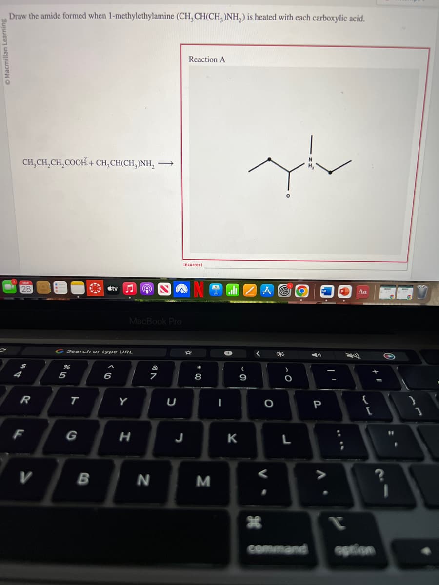 acmillan Le
Draw the amide formed when 1-methylethylamine (CH₂CH(CH3)NH₂) is heated with each carboxylic acid.
CH,CH,CH,COOH +CH,CH(CH,)NH, —
128
$
4
R
F
V
%
G Search or type URL
R 10
5
T
tv
B
MacBook Pro
6
Y
H
&
7
N
U
Reaction A
Incorrect
J
☆
* 00
8
M
I
K
(
-
9
yır
<
H
O
O
L
P
A.
Aa
{
+ 11
[
command option
=
O
FF
1