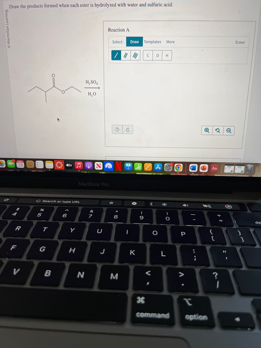 Draw the products formed when each ester is hydrolyzed with water and sulfuric acid.
4
128
R
F
V
%
G Search or type URL
5
T
stv
B
6
Y
H
H₂SO4
H₂O
MacBook Pro
N
of A
&
7
U
Reaction A
J
Select Draw Templates More
☆
/ ||| |||
* 00
8
Ć
NOMZA
M
1
+
K
-
9
C
H
<
0
V.
O
H
O
L
-
P
. V
:
;
Q2 Q
command option
Aa
{
[
+ 11
?
=
Erase
1
de