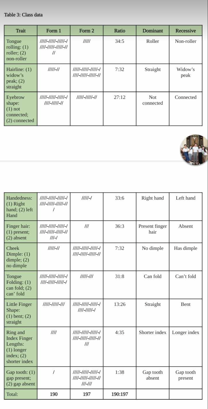 Table 3: Class data
Trait
Tongue
rolling: (1)
roller; (2)
non-roller
Hairline: (1)
widow's
peak; (2)
straight
Eyebrow
shape:
(1) not
connected;
(2) connected
Finger hair:
(1) present;
(2) absent
Cheek
Dimple: (1)
dimple; (2)
no dimple
Tongue
Folding: (1)
can fold; (2)
can' fold
Handedness: /////-/////-/////-/
(1) Right
////-/////-/////-//
/
hand; (2) left
Hand
Little Finger
Shape:
(1) bent; (2)
straight
Ring and
Index Finger
Lengths:
(1) longer
index; (2)
shorter index
Form 1
Gap tooth: (1)
gap present;
(2) gap absent
Total:
/////-/////-/////-/
////-/////-/////-//
//
/////-//
/////-/////-/////-/
////-/////-//
/////-/////-/////-/
////-/////-/////-//
///-/
/////-/////-/////-/
////-/////-/////-/
/////-/////-///
////
1
190
Form 2
/////-/////-/////-/
////-/////-/////-//
/////-/
|||
/////-/////-/////-/
////-/////-/////-//
/////-///
/////-/////-/////-/
////-/////-/
/////-/////-/////-/
////-/////-/////-//
///
/////-/////-/////-/
////-/////-/////-//
///-///
197
Ratio
34:5
7:32
27:12
33:6
36:3
7:32
31:8
13:26
4:35
1:38
190:197
Dominant
Roller
Straight
Not
connected
Right hand
Present finger
hair
No dimple
Can fold
Straight
Recessive
Non-roller
Gap tooth
absent
Widow's
peak
Connected
Left hand
Absent
Has dimple
Can't fold
Bent
Shorter index Longer index
Gap tooth
present