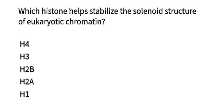 Which histone helps stabilize the solenoid structure
of eukaryotic chromatin?
H4
H3
H2B
H2A
H1
