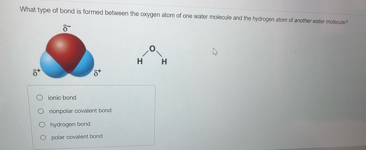 What type of bond is formed between the oxygen atom of one water molecule and the hydrogen atom of another water molecule?
8-
to
is
Sx
ionic bond
O nonpolar covalent bond
hydrogen bond
O polar covalent bond
H
H