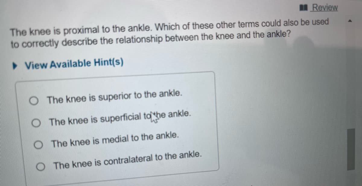 Review
The knee is proximal to the ankle. Which of these other terms could also be used
to correctly describe the relationship between the knee and the ankle?
► View Available Hint(s)
O The knee is superior to the ankle.
O The knee is superficial to the ankle.
The knee is medial to the ankle.
O The knee is contralateral to the ankle.