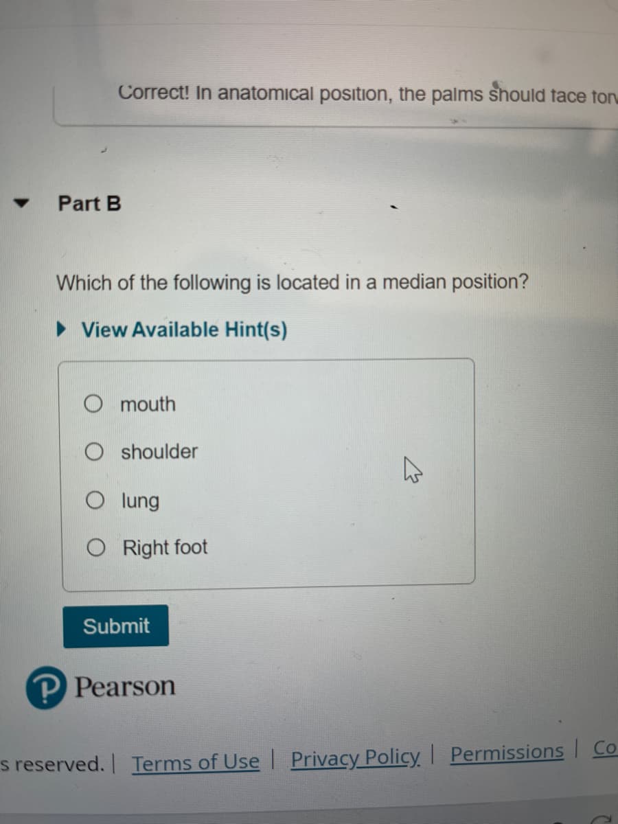 Correct! In anatomical position, the palms should tace tor
Part B
Which of the following is located in a median position?
View Available Hint(s)
mouth
shoulder
O lung
O Right foot
Submit
P Pearson
4
s reserved. | Terms of Use | Privacy Policy | Permissions Co