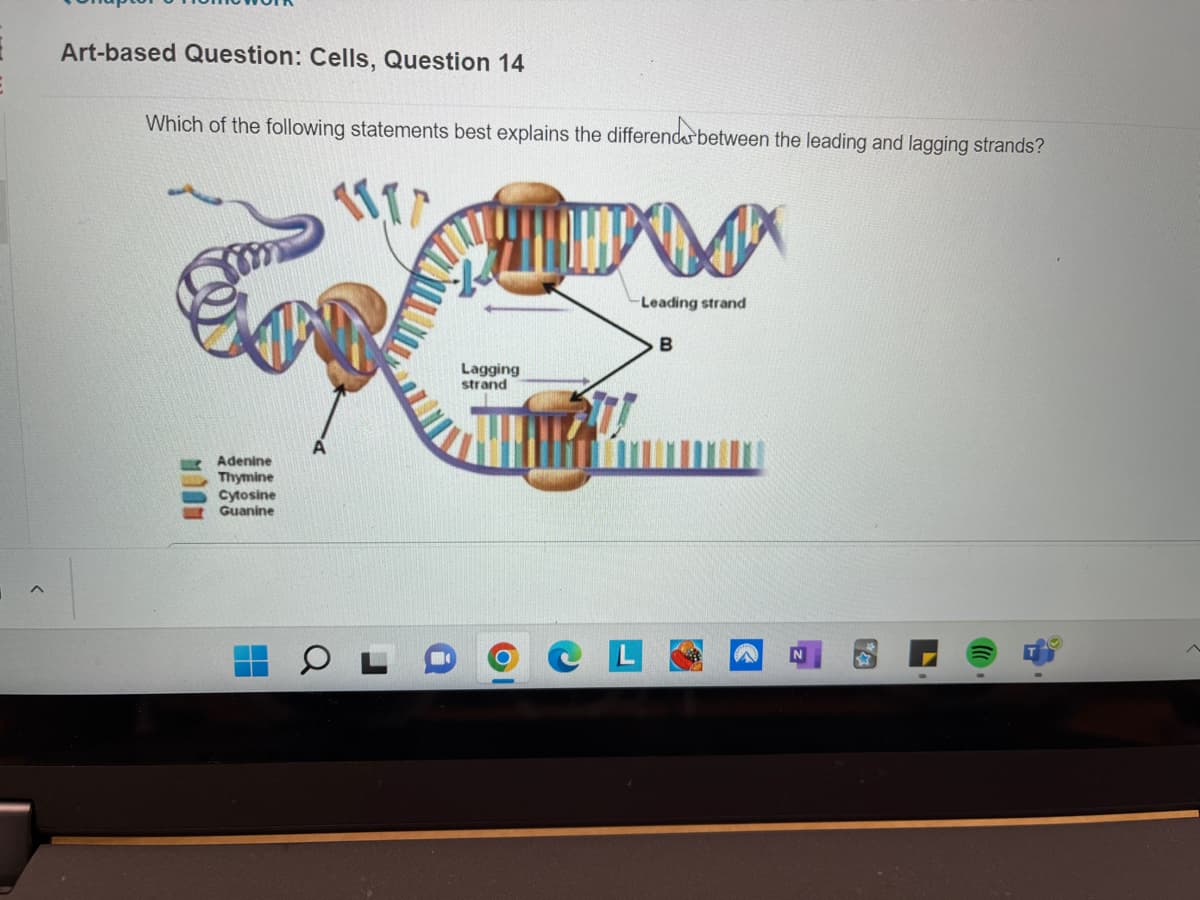 Art-based Question: Cells, Question 14
Which of the following statements best explains the differend between the leading and lagging strands?
111/
AUA
Adenine
Thymine
Cytosine
Guanine
Lagging
strand
M
Leading strand
B