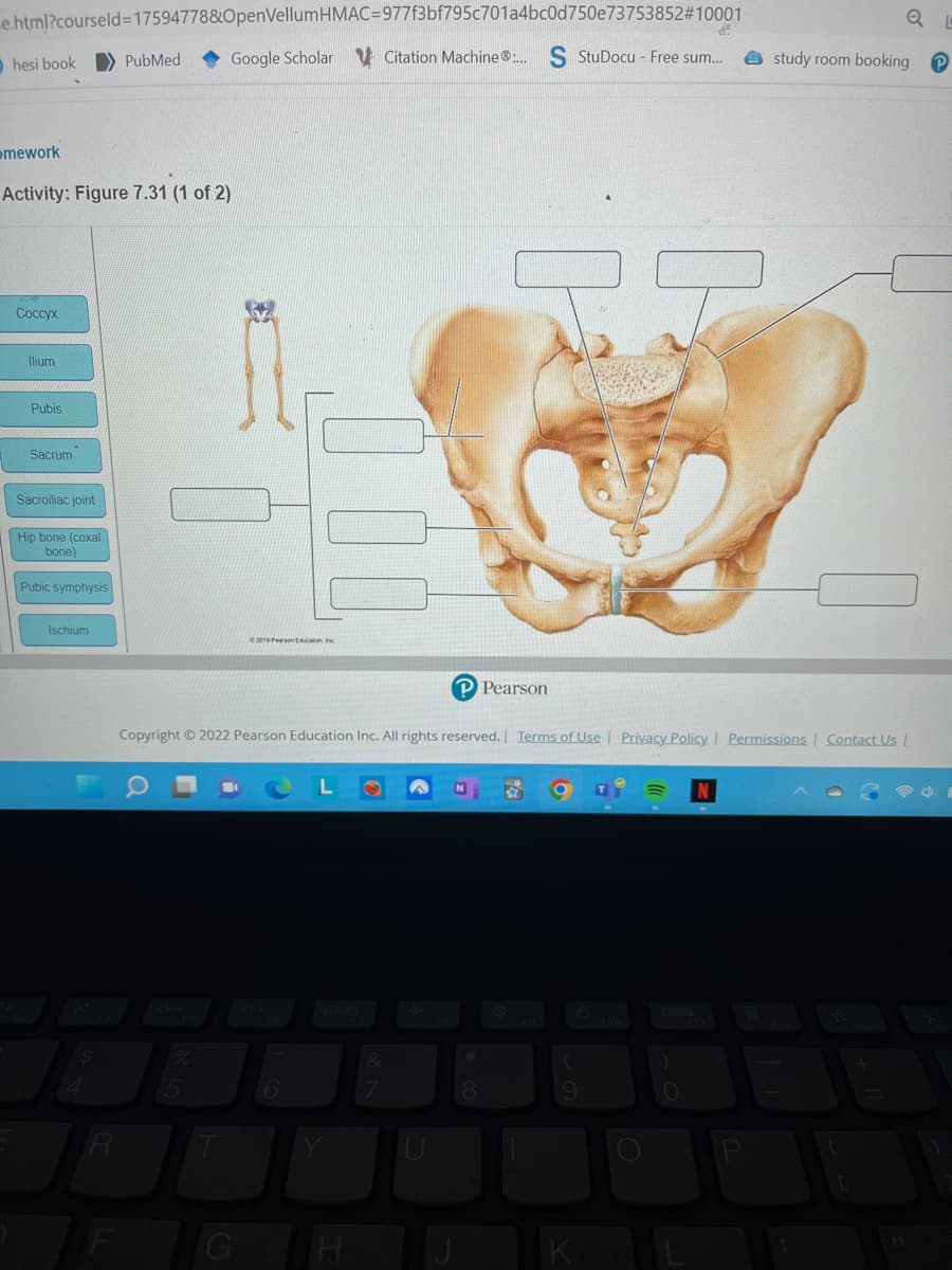 e.html?courseld=17594778&OpenVellum HMAC-977f3bf795c701a4bc0d750e73753852#10001
hesi book PubMed Google Scholar Citation Machine®:... S StuDocu - Free sum....
omework
Activity: Figure 7.31 (1 of 2)
Coccyx
llium
Pubis
Sacrum
Sacroiliac joint
Hip bone (coxal
bone)
Pubic symphysis
Ischium
R
2019 Pearson Education in
5
Copyright © 2022 Pearson Education Inc. All rights reserved. | Terms of Use | Privacy Policy | Permissions | Contact Us |
6
&
7
P Pearson
U
8
9
O
)
0
QL
study room booking P
P