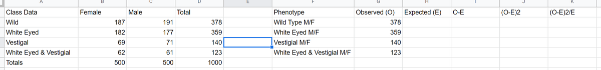 A
В
K
Class Data
Female
Male
Total
Phenotype
Observed (O)
Expected (E)
О-Е
(О-E)2
(O-E)2/E
Wild
187
191
378
Wild Type M/F
378
White Eyed
182
177
359
White Eyed M/E
359
Vestigal
69
71
140
|Vestigial M/F
140
White Eyed & Vestigial
62
61
123
White Eyed & Vestigial M/F
123
Totals
500
500
1000
