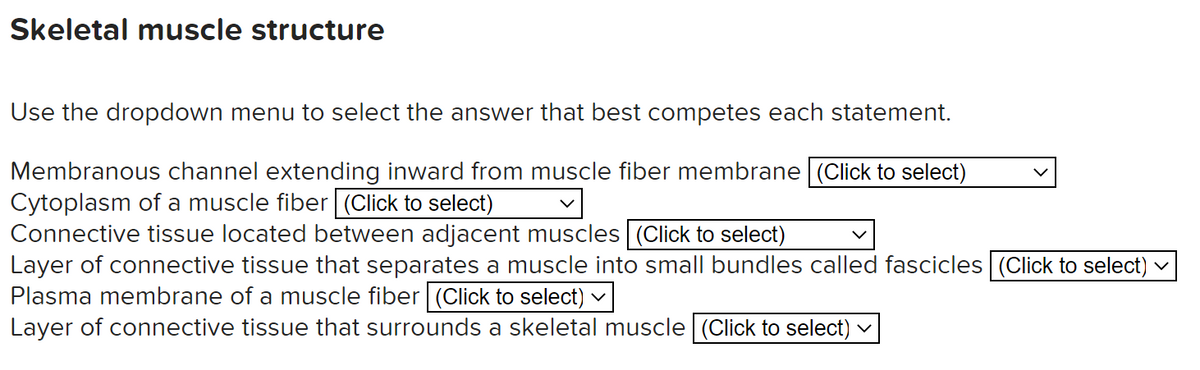 Skeletal muscle structure
Use the dropdown menu to select the answer that best competes each statement.
Membranous channel extending inward from muscle fiber membrane (Click to select)
Cytoplasm of a muscle fiber (Click to select)
Connective tissue located between adjacent muscles (Click to select)
Layer of connective tissue that separates a muscle into small bundles called fascicles (Click to select) v
Plasma membrane of a muscle fiber (Click to select) v
Layer of connective tissue that surrounds a skeletal muscle (Click to select)
