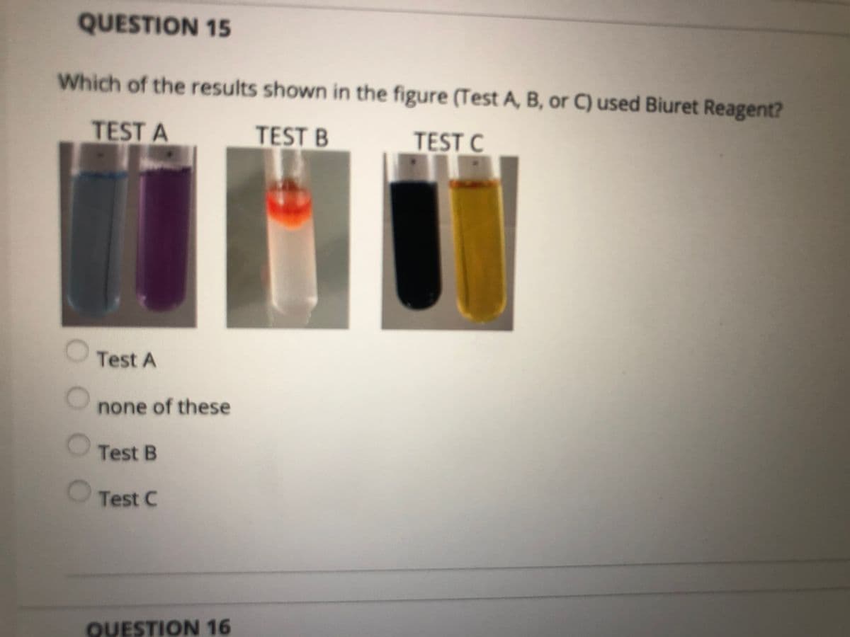 QUESTION 15
Which of the results shown in the figure (Test A, B, or C) used Biuret Reagent?
TEST A
TEST B
TEST C
Test A
none of these
Test B
Test C
QUESTION 16
