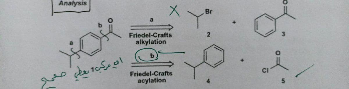 Analysis
Br
Friedel-Crafts
alkylation
Friedel-Crafts
acylation
