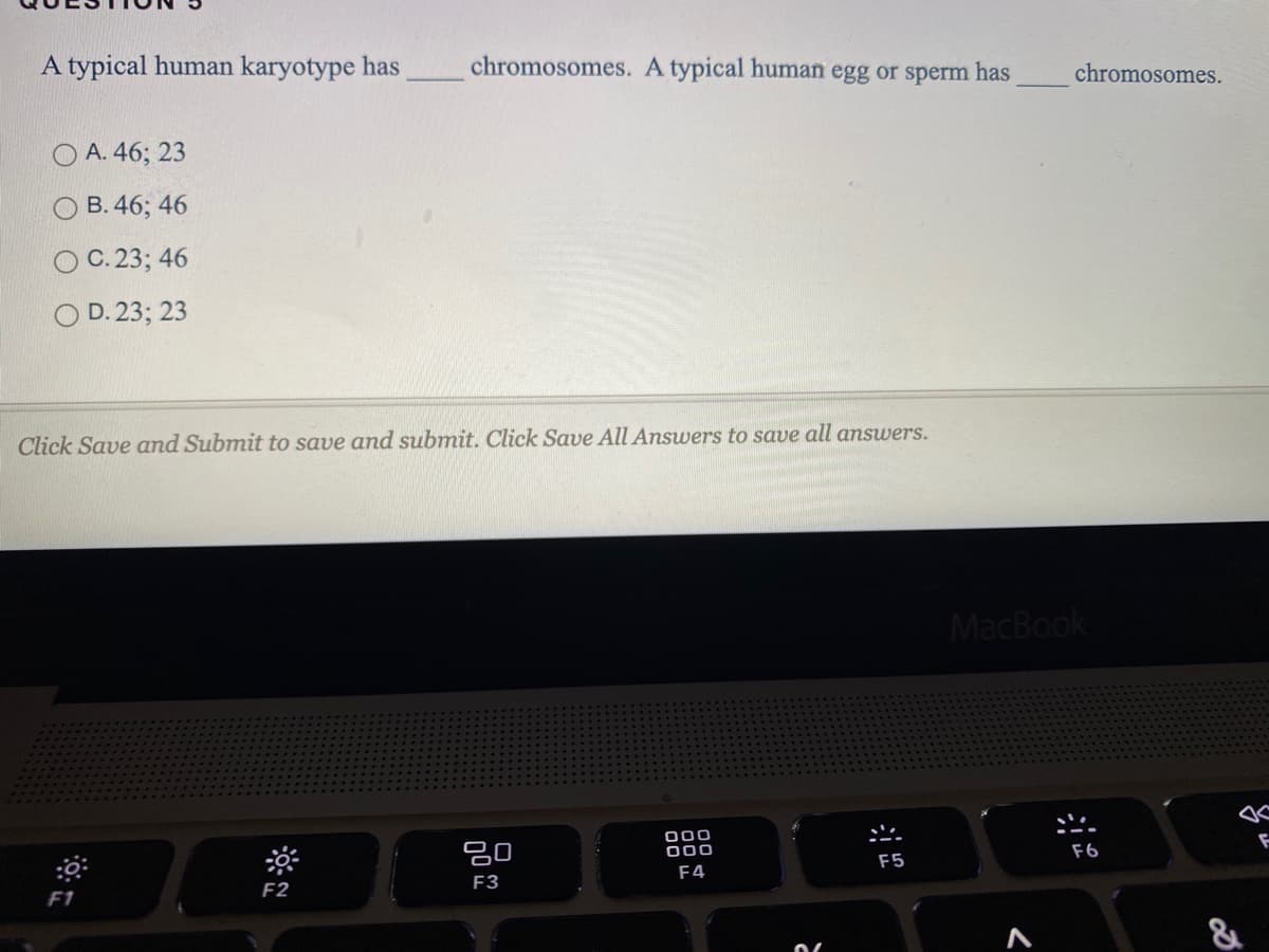 A typical human karyotype has
chromosomes. A typical human egg or sperm has
chromosomes.
A. 46; 23
B. 46; 46
O C. 23; 46
O D. 23; 23
Click Save and Submit to save and submit. Click Save All Answers to save all answers.
MacBook
80
000
000
F5
F6
F1
F2
F3
F4
&
