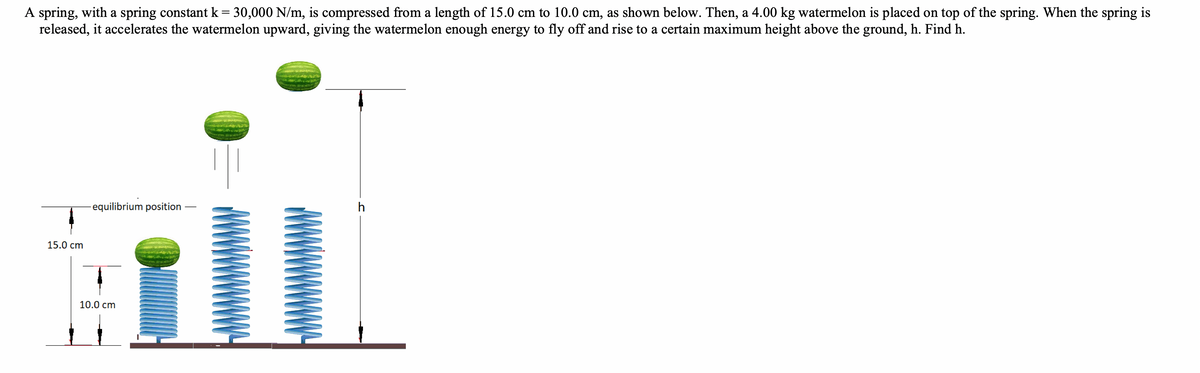 A spring, with a spring constant k = 30,000 N/m, is compressed from a length of 15.0 cm to 10.0 cm, as shown below. Then, a 4.00 kg watermelon is placed on top of the spring. When the spring is
released, it accelerates the watermelon upward, giving the watermelon enough energy to fly off and rise to a certain maximum height above the ground, h. Find h.
%3D
-equilibrium position
h
15.0 cm
10.0 cm
