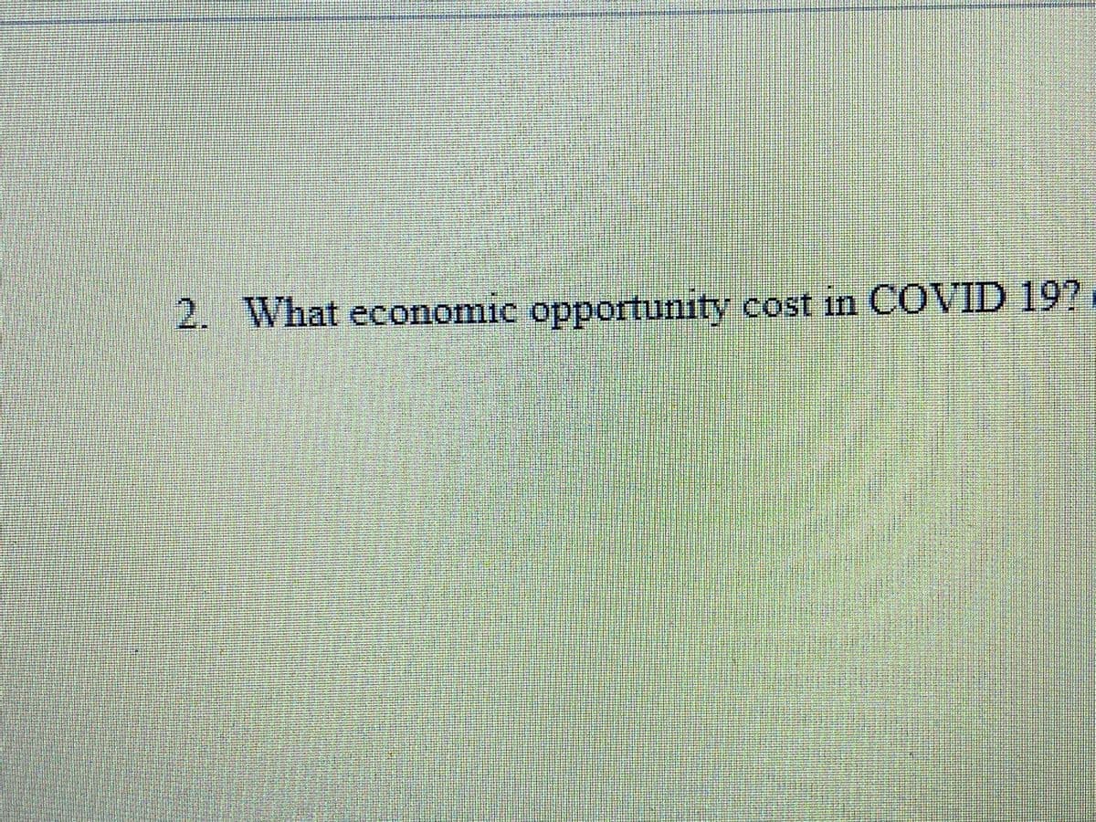 2. What economic opportunity cost in COVID 19?
