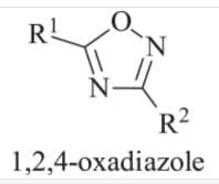 RL
'N.
N-
R2
1,2,4-oxadiazole
