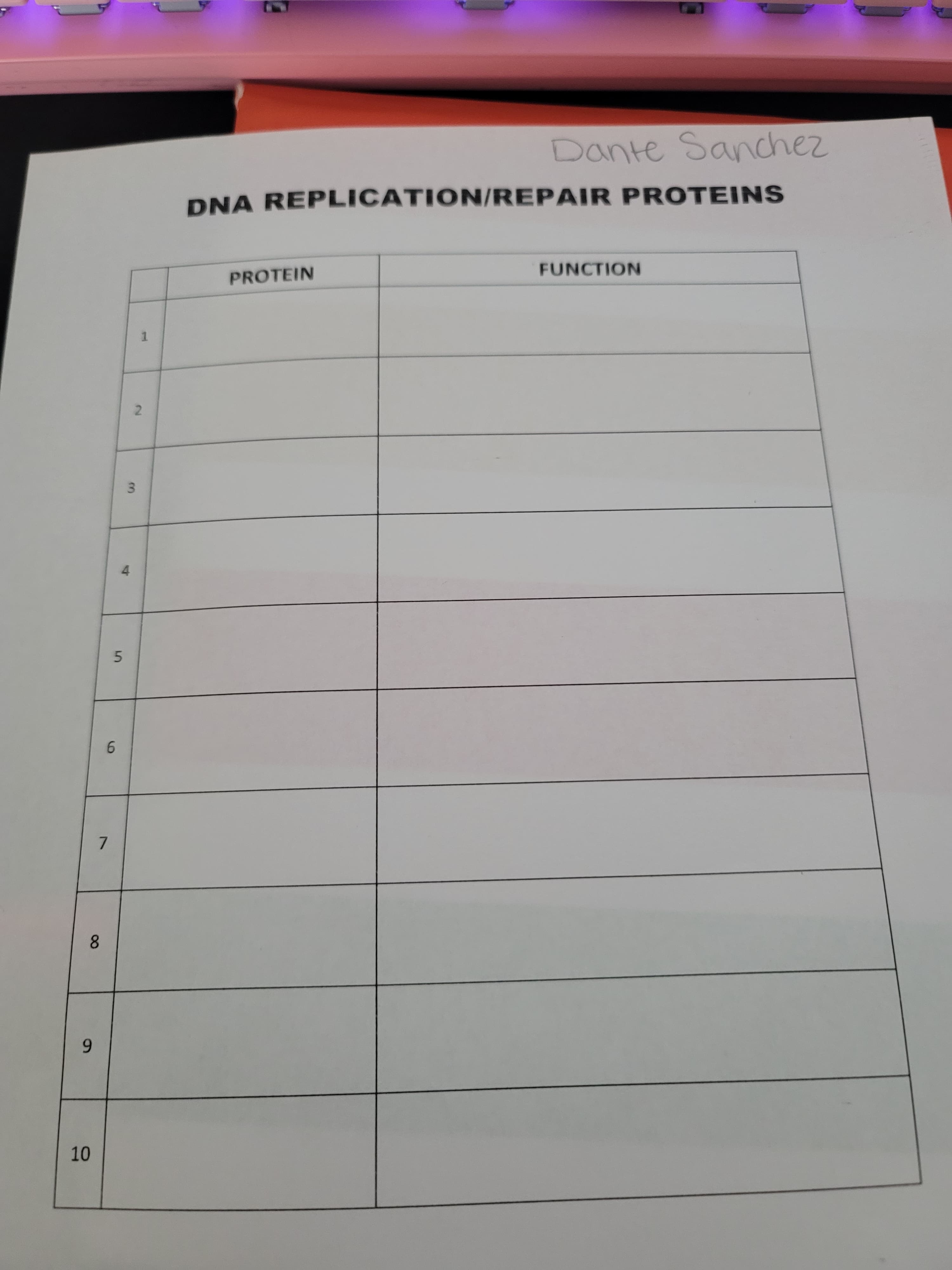 DNA REPLICATION/REPAIR PROTEINS
PROTEIN
FUNCTION
