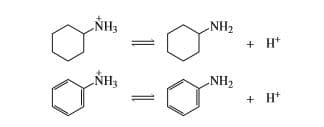 NH3
NH2
+ H*
NH3
NH2
+ H*
